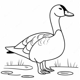 गूज रंग पेज रंग भरने वाले पृष्ठ