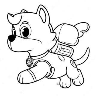 Ronkii Paav Pettrol Ekshn Rng Bhrne Vaalaa Prsstth 116388-51928