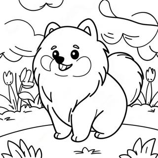 Bgiice Men Phulii Pomereniyn Rng Bhrne Vaalaa Prsstth 118575-53729