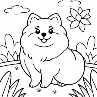 Bgiice Men Phulii Pomereniyn Rng Bhrne Vaalaa Prsstth 118575-53731