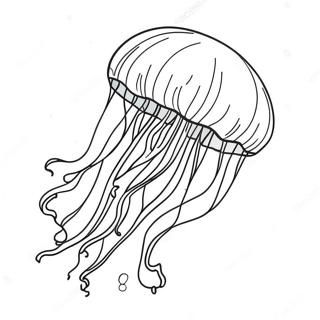 Mhaan Jeliiphish Paanii Men Tairtii Huii Rng Bhrne Vaalaa Prsstth 28951-6302