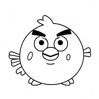 Engrii Brdds Griin Pig Rng Bhrne Vaalaa Prsstth 29391 6398