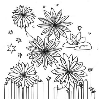 Rng Birngii Aatishbaajii Kaa Prdrshn Rng Bhrne Vaalaa Prsstth 85159-26171